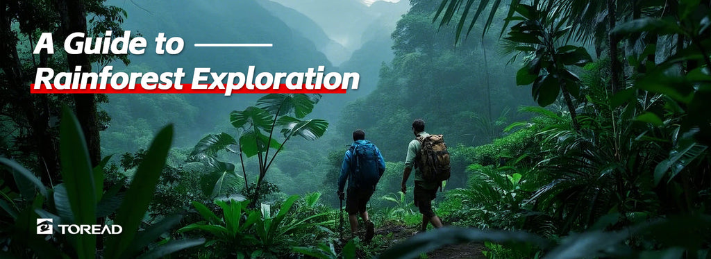 A Guide to Rainforest Exploration | TOREAD Outdoor Guide