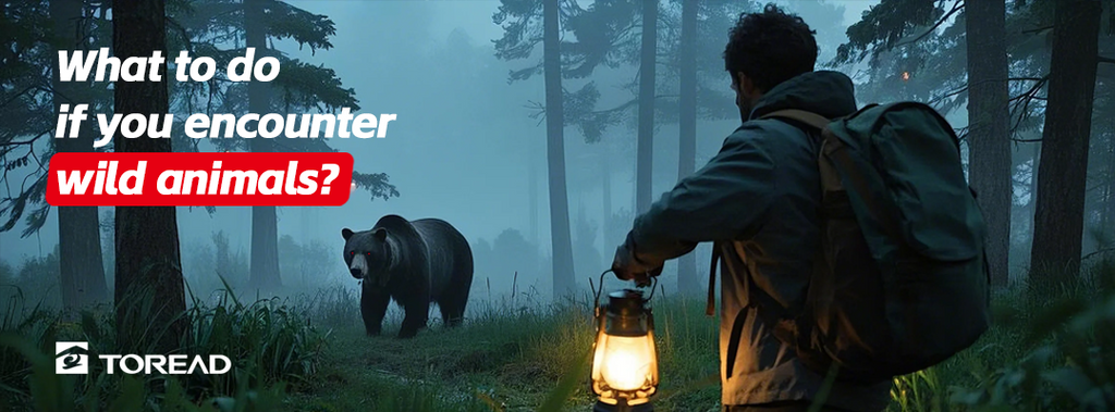 How to Avoid and Handle Encounters with Wildlife in the Outdoors | TOREAD Outdoor Guide