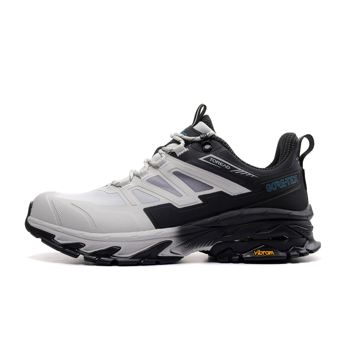 Amazon.com | adidas Terrex Skychaser Gore-TEX 2.0 Hiking