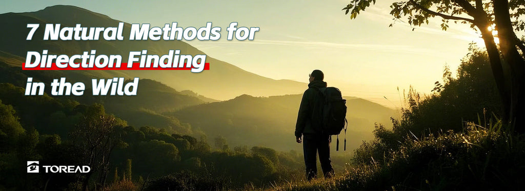 7 Natural Methods for Direction Finding in the Wild | TOREAD Outdoor Guide