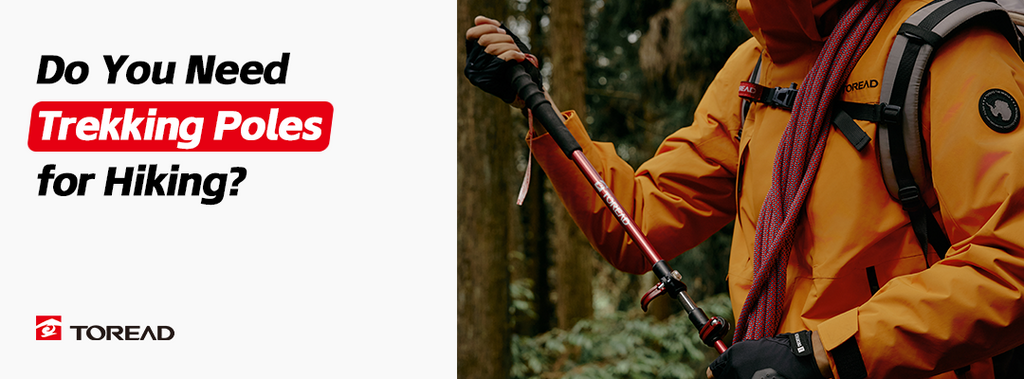 Do You Need Trekking Poles for Hiking?